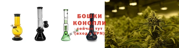 spice Каменка
