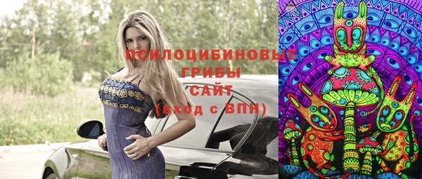 стафф Богданович