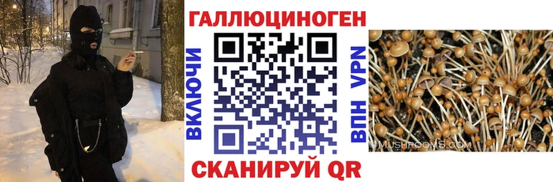 нарко площадка телеграм  что такое   Нытва  Псилоцибиновые грибы Psilocybine cubensis  blacksprut вход 