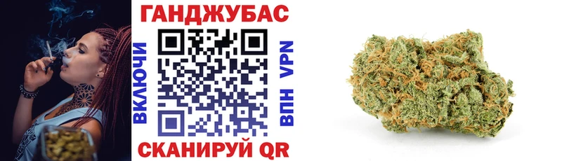 Конопля сатива  Нытва 